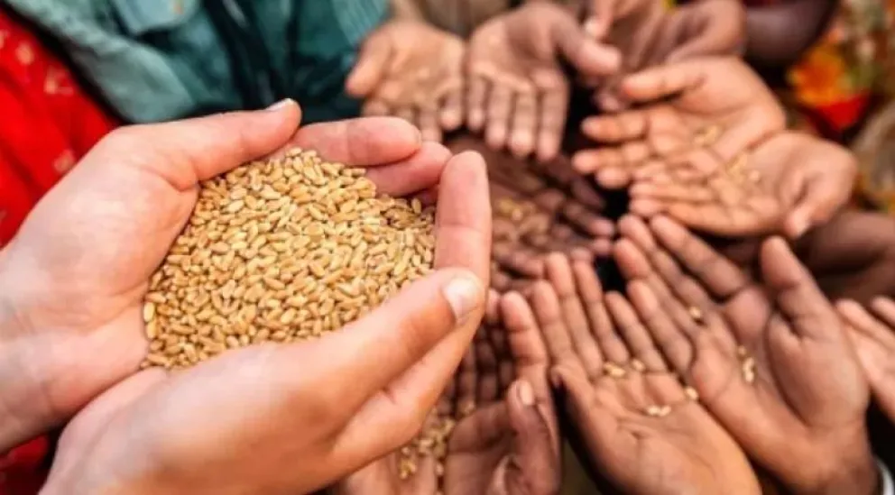 Una persona muere de hambre en el mundo cada cuatro segundos, denuncian ONGs