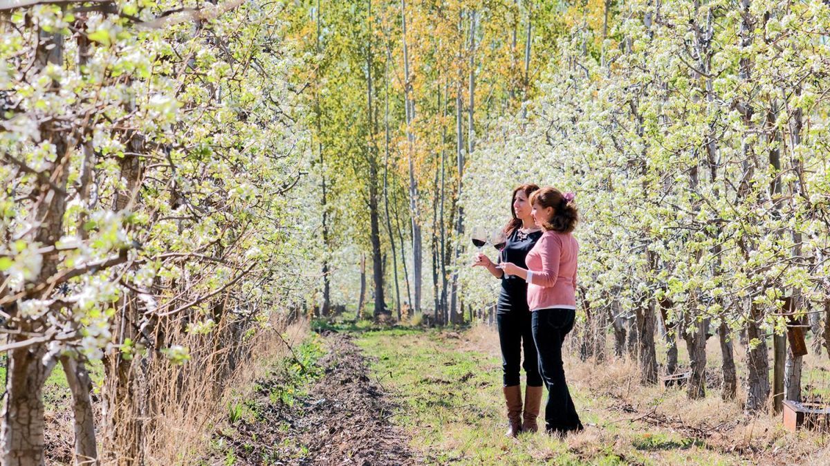 Río Negro fortalece sus propuestas turísticas de primavera