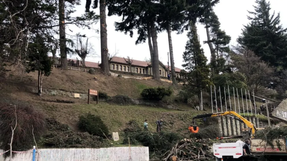 Sigue la recuperación en la zona del Paseo de las Colectividades
