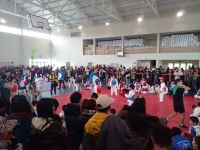Con gran convocatoria se desarrolló el primer Festival de Taekwondo Infantil