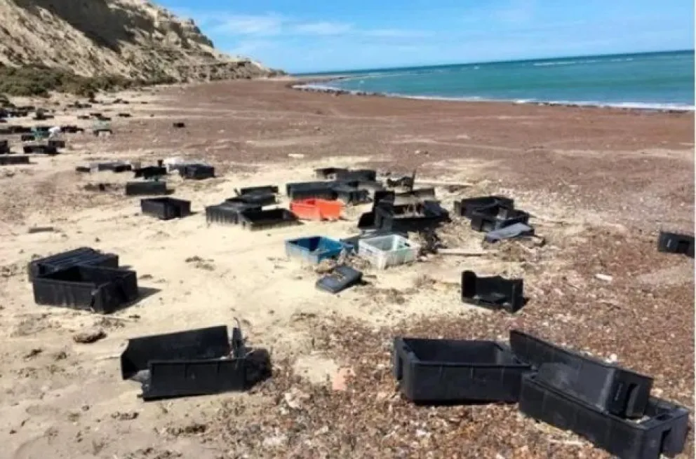 Retiraron 800 cajones plásticos de la industria pesquera en las costas de Península Valdés