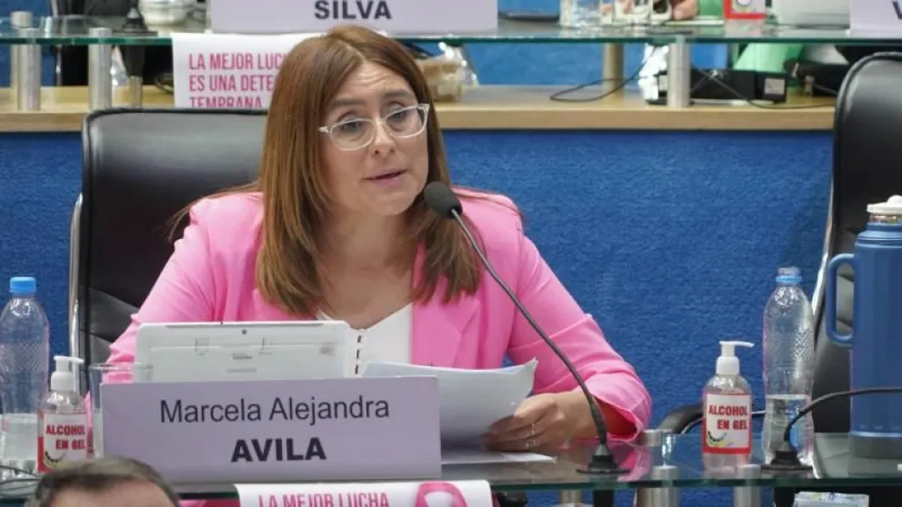 La Legislatura aprobó la emisión de Letras y el Consenso Fiscal