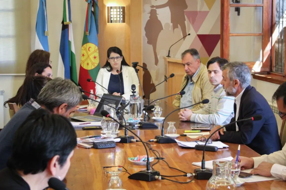 Gennuso se presentó ante el Concejo y pidió disculpas