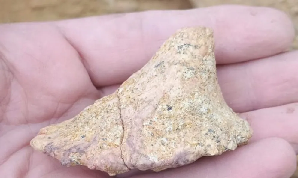 Encuentran restos fósiles de dinosaurios desconocidos en General Roca