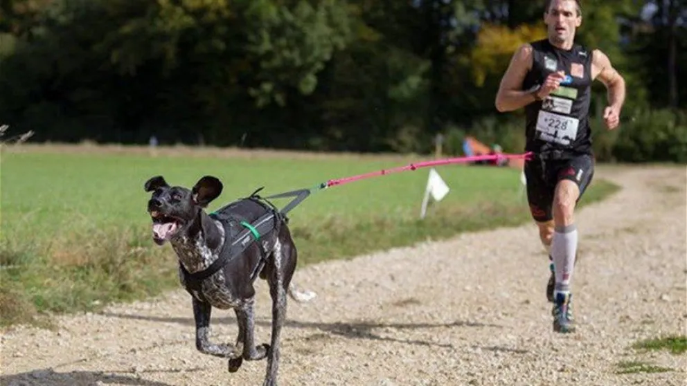 Canicross: dudas e inquietudes