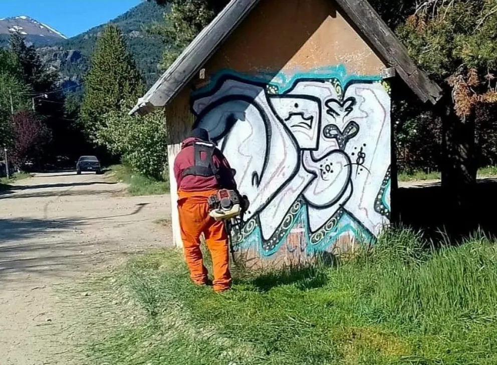 Continúan diversas tareas de limpieza en la Delegación Lago Moreno