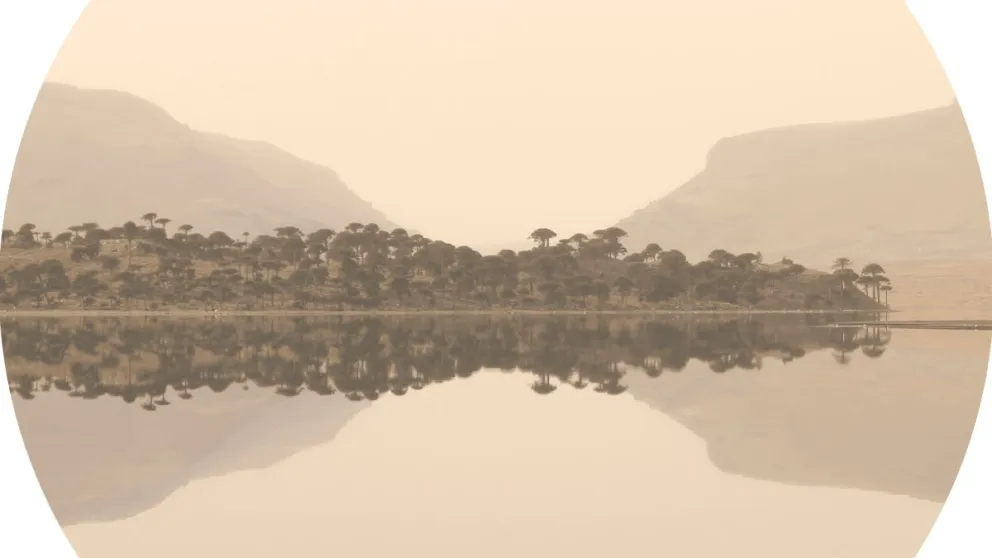 Un rionegrino seleccionado para el Concurso Nacional de Artes Visuales