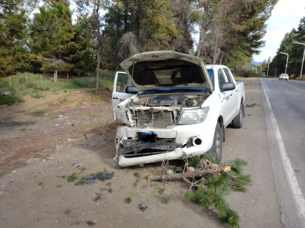 Un árbol cayó sobre una camioneta en la Ruta al Aeropuerto
