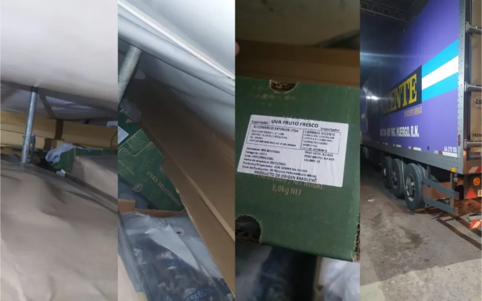 Intentaba ingresar 1.440 kilos de uvas brasileras ocultas en un camión con cartones