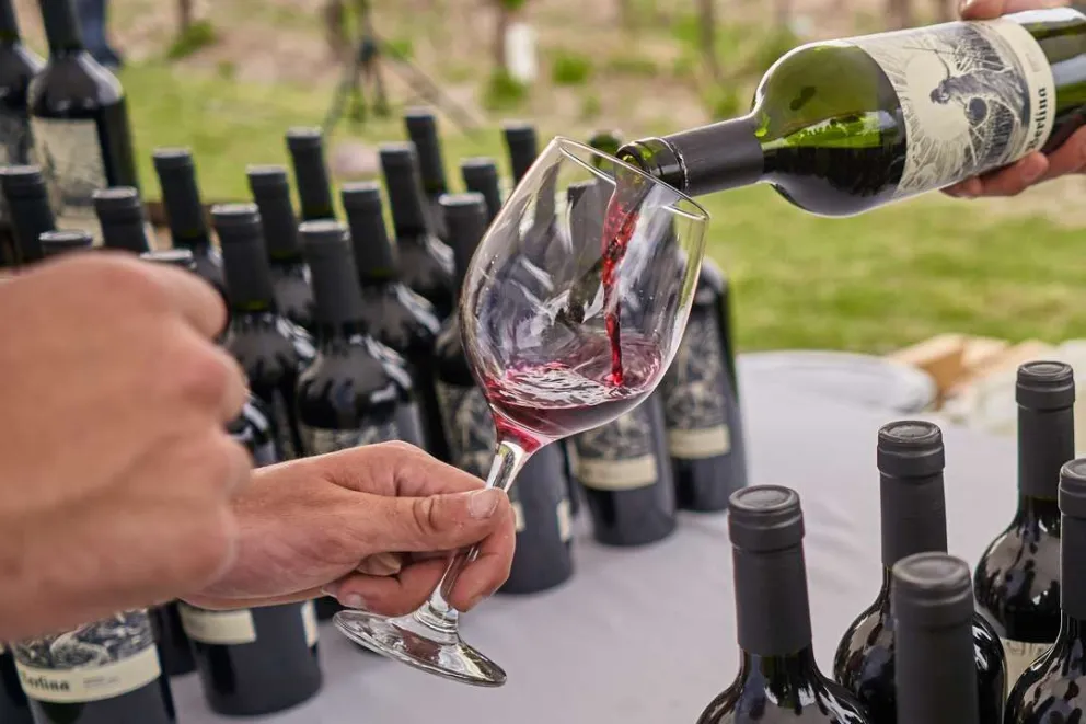 Berlina lanza su línea de vinos