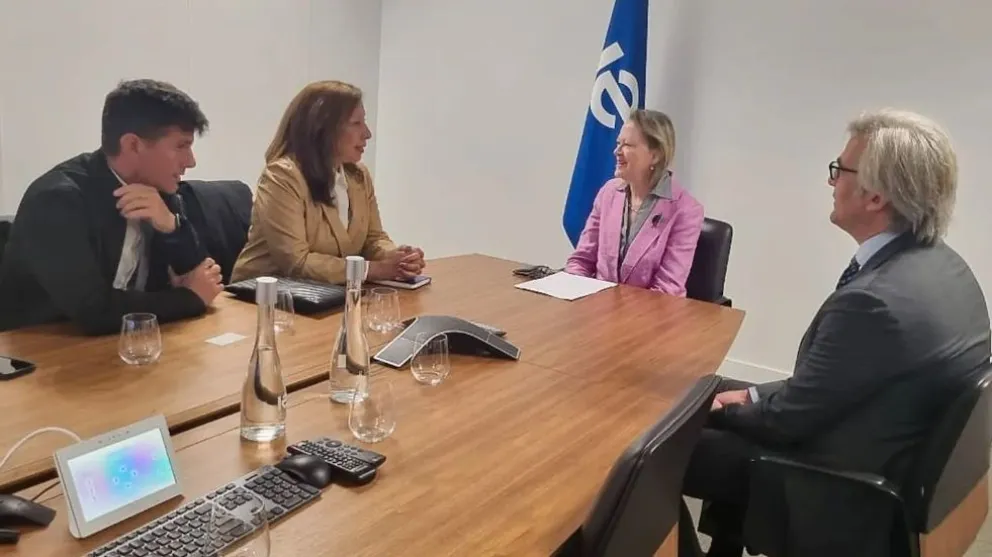 Carreras expuso su plan de Hidrógeno con Agencia Internacional de Energía