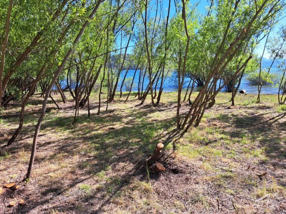 Se crea el "Paseo de la Costa" desde Playa Bonita a Puerto Moreno