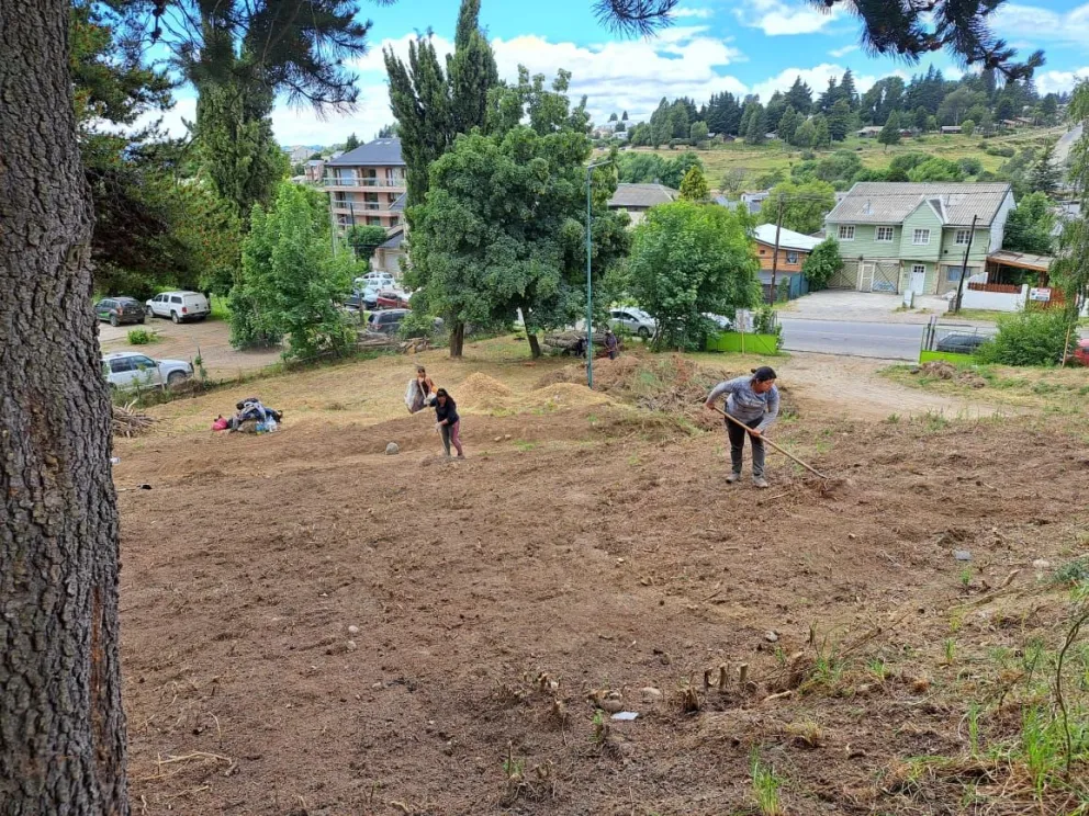 Realizan un operativo de limpieza y saneo en Jardín Botánico
