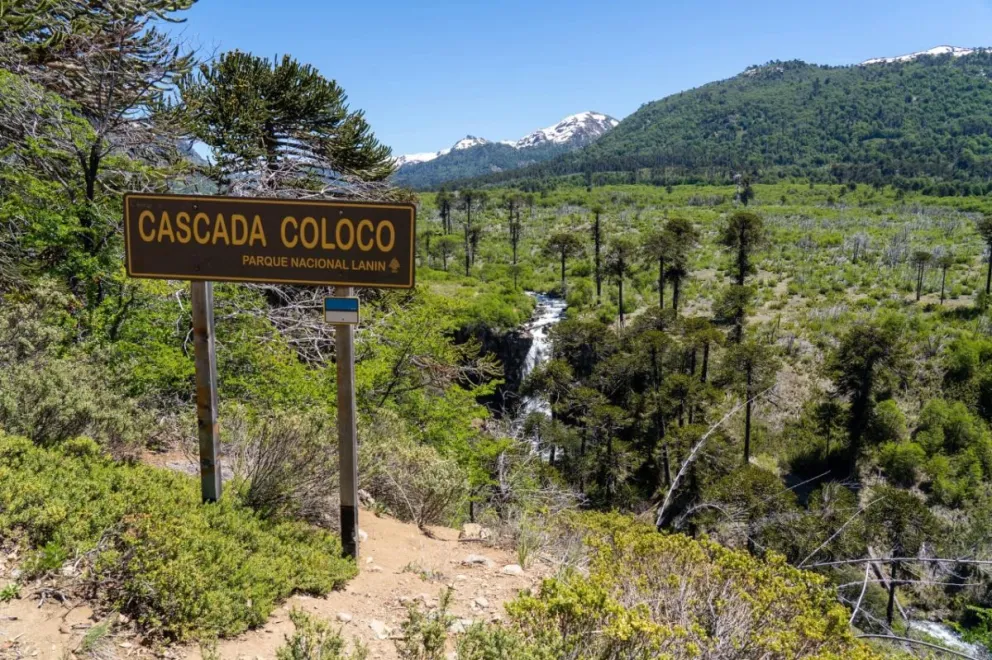 Recomendaciones para visitar el Parque Nacional Lanín y Nahuel Huapi durante el fin de semana