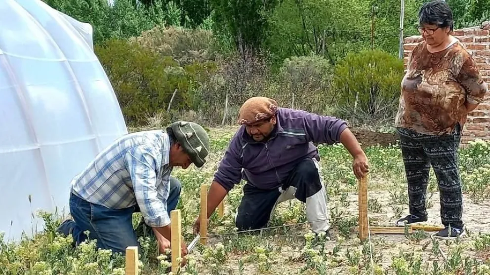 Río Negro cierra el año con 70 Invernaderos Escuela en marcha