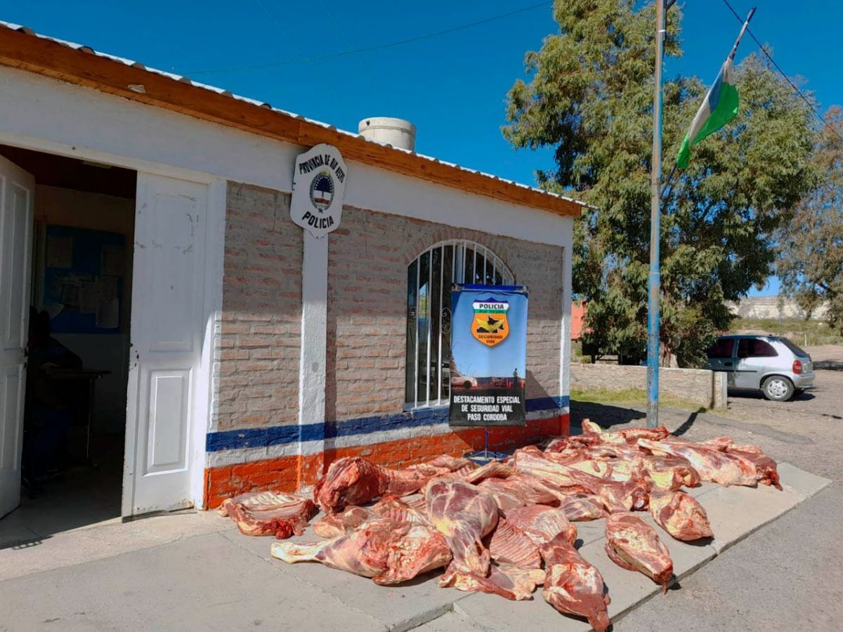 Este año la Policía de Río Negro decomisó más de 19.000 kilos de carne