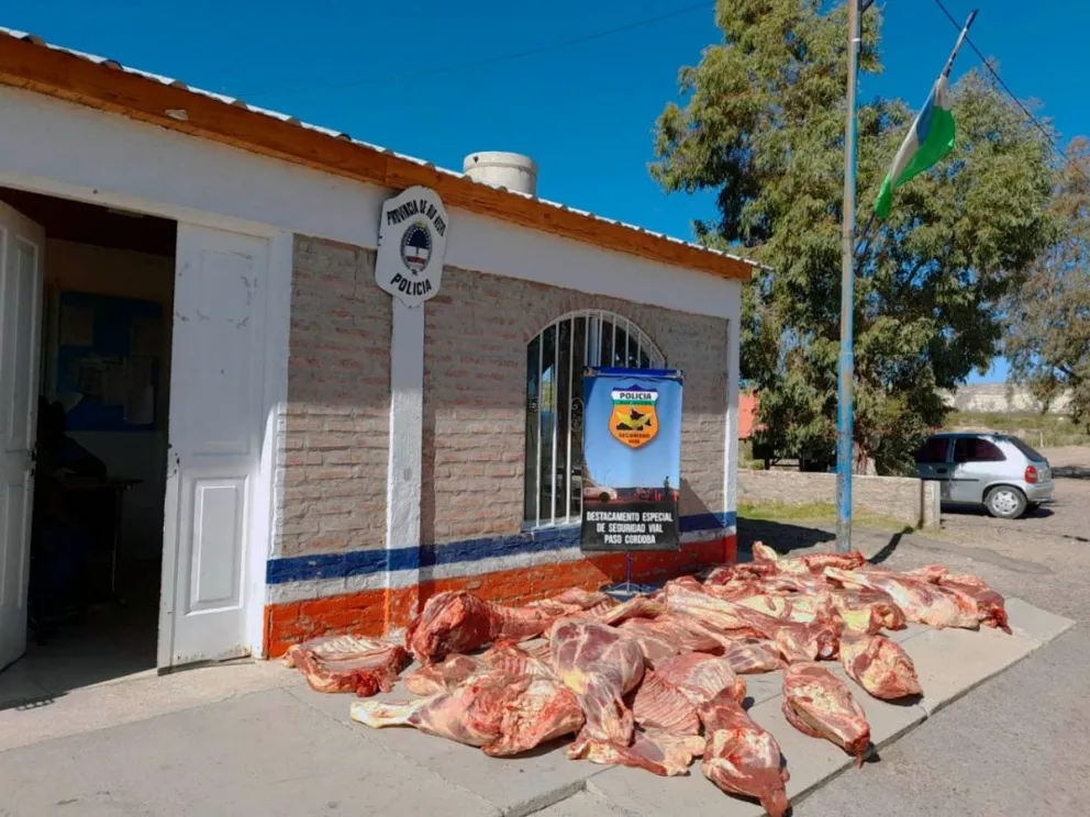 Este año la Policía de Río Negro decomisó más de 19.000 kilos de carne