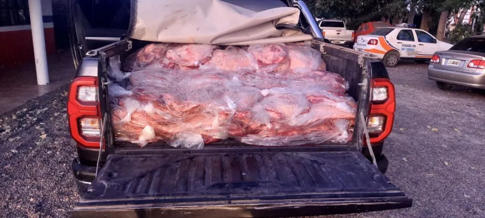 Llevaba 92 costillares en la caja de su camioneta y trató de escapar de la Policía