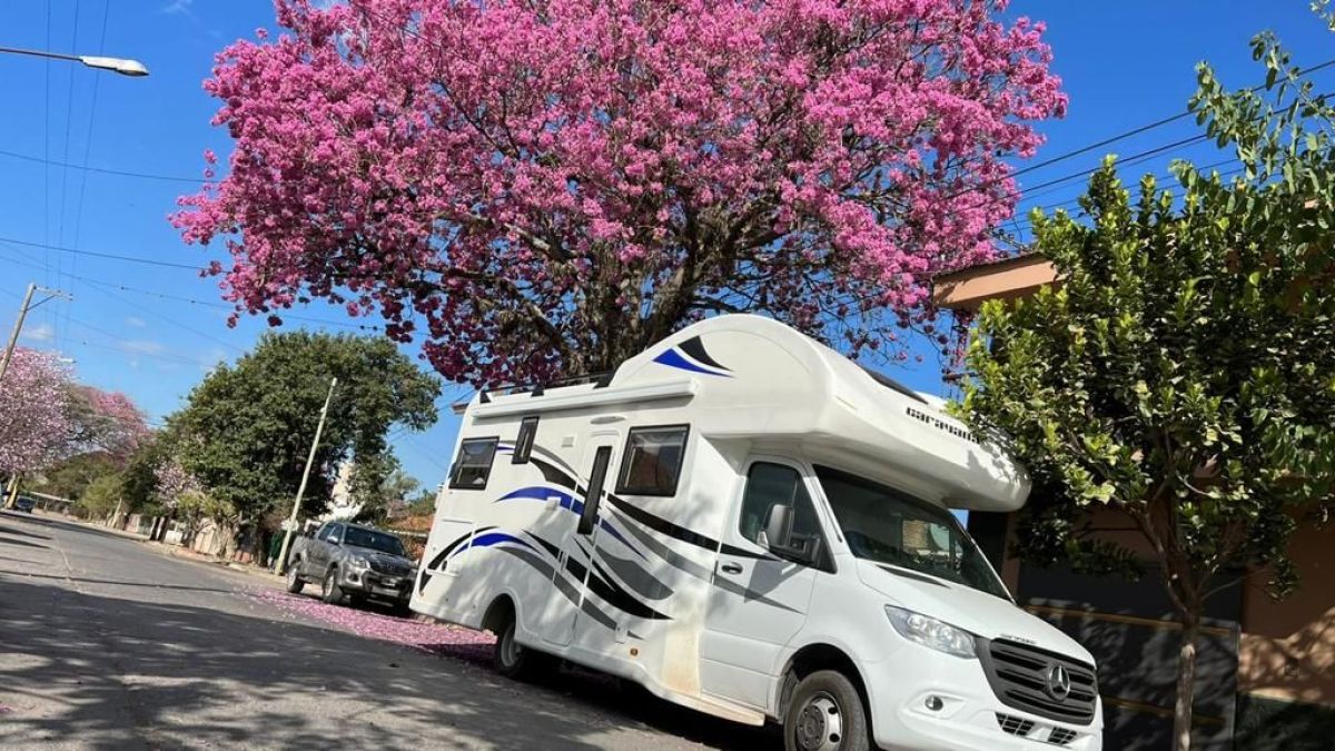 Información importante para visitantes con casillas rodantes