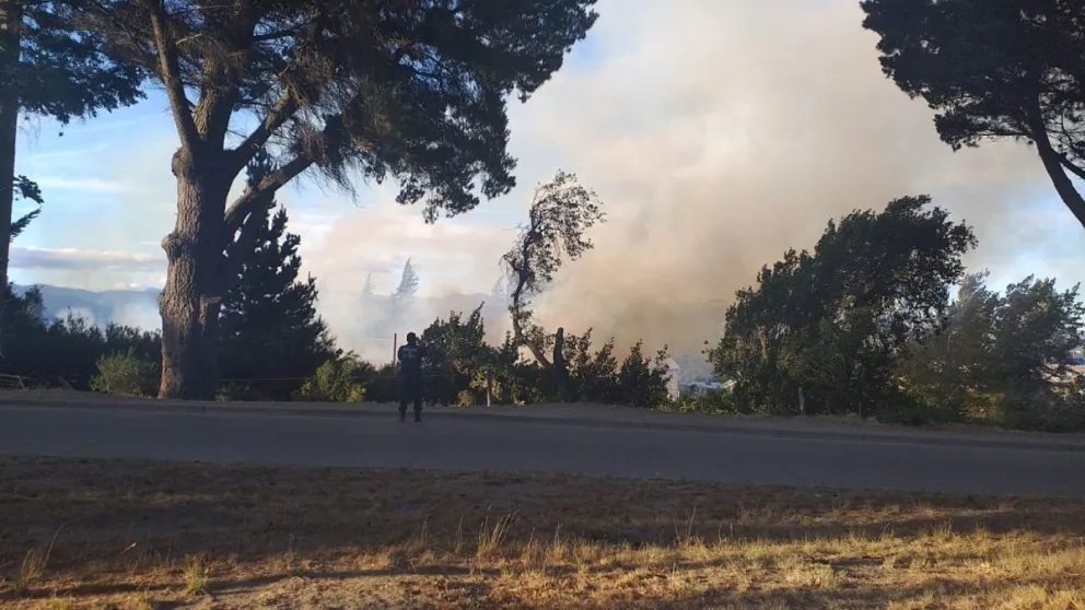 De manera rápida se logró extinguir el incendio en el predio de la estación del ferrocarril