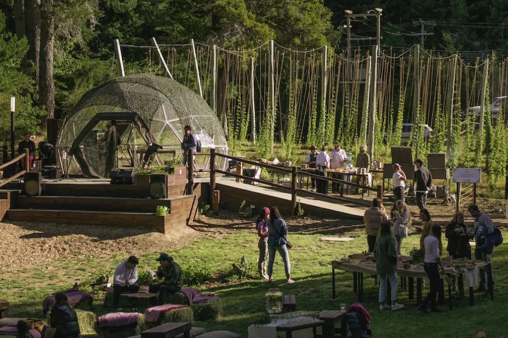 Cerveza Patagonia presenta Ginkgo, un gin que promueve el cuidado de la flora autóctona