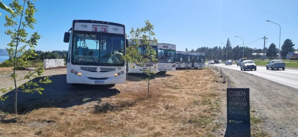 Se suman seis unidades a la flota del Transporte Urbano de Pasajeros