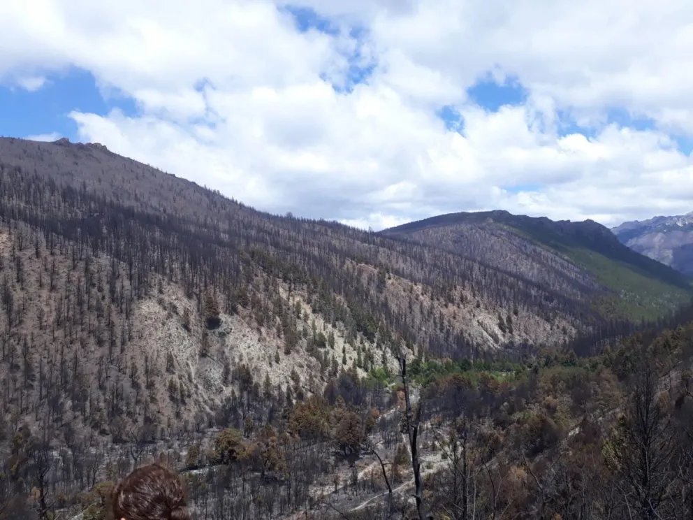 Incendios en Río Ternero y El Foyel: El fuego se encuentra contenido