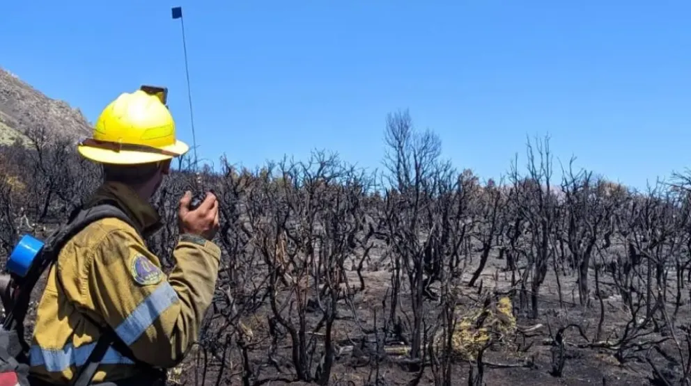 Incendio en Río Ternero: todos los sectores se encuentran contenidos