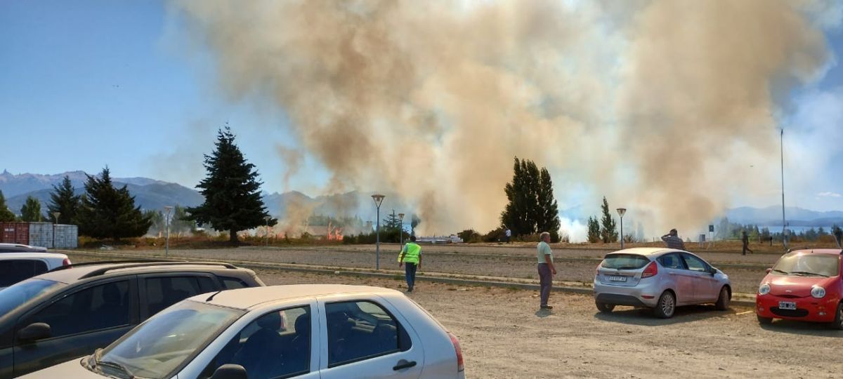 Combaten un incendio forestal de grandes dimensiones en la entrada a la ciudad