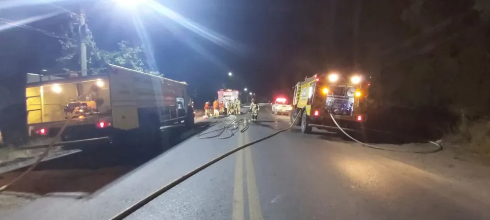 Rápido accionar de bomberos y brigadistas para contener un incendio forestal en Bahía Serena