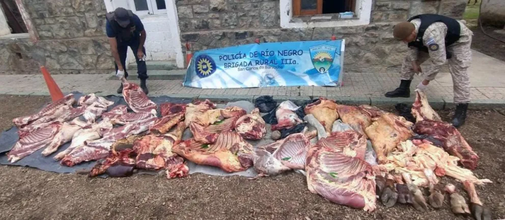 Secuestraron unos 600 kilos de carne en procedimientos simultáneos