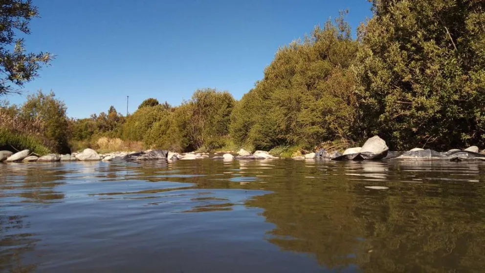 Advierten inconvenientes en el servicio de agua potable por la turbiedad del arroyo Ñireco