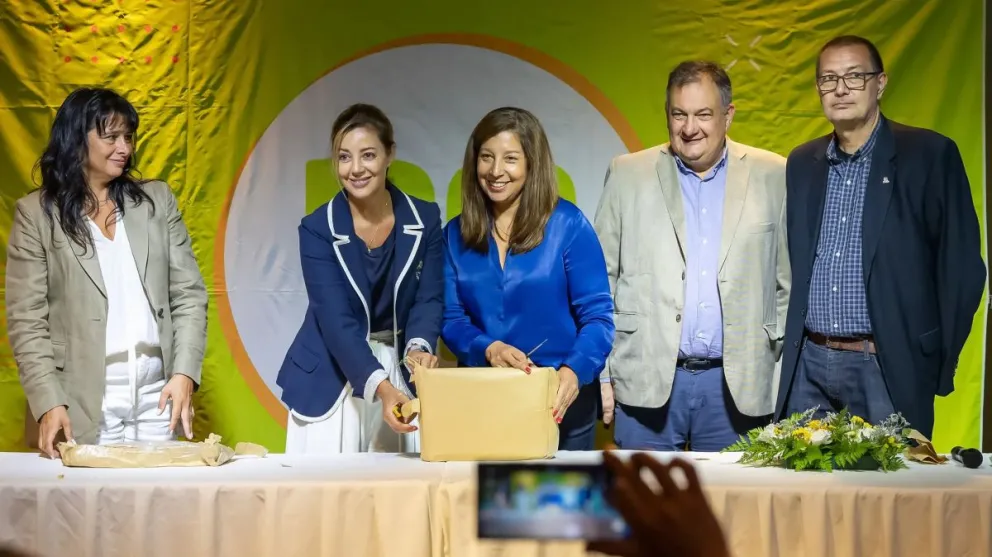 Se presentaron las ofertas para construir la segunda línea de alta tensión para la zona