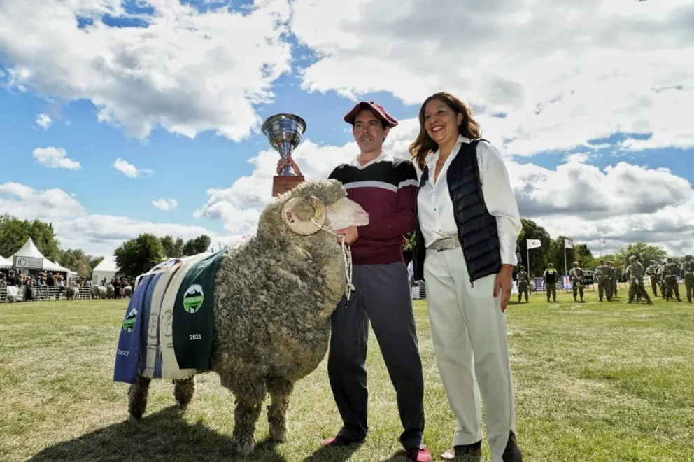 Desde la Sociedad Rural de Bariloche llamaron a trabajar para recuperar la ganadería ovina en la provincia