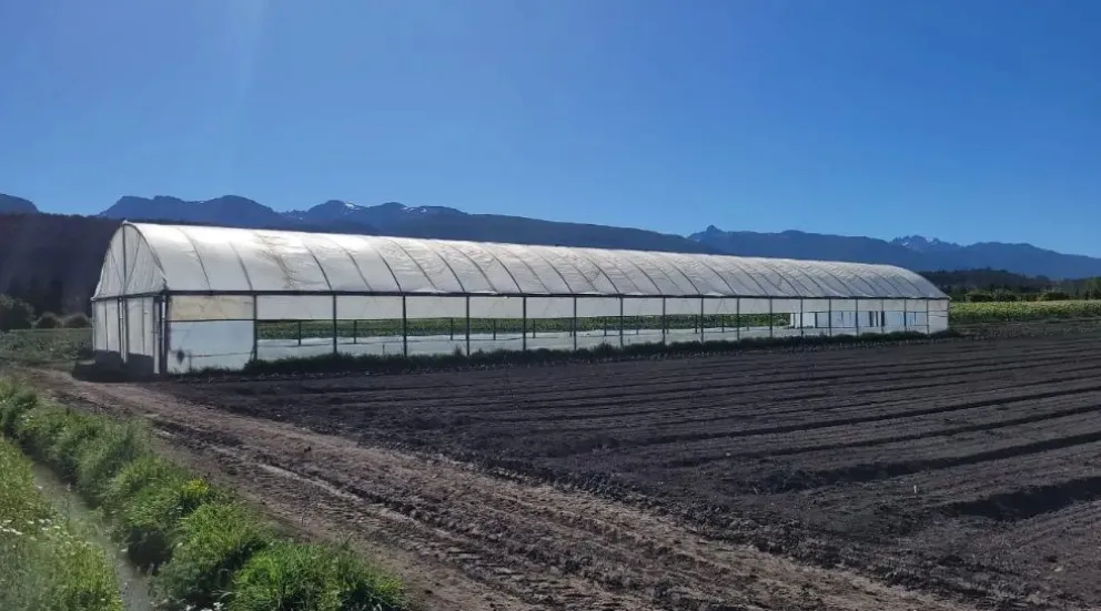 Provincia continúa fomentando la articulación del turismo con la producción