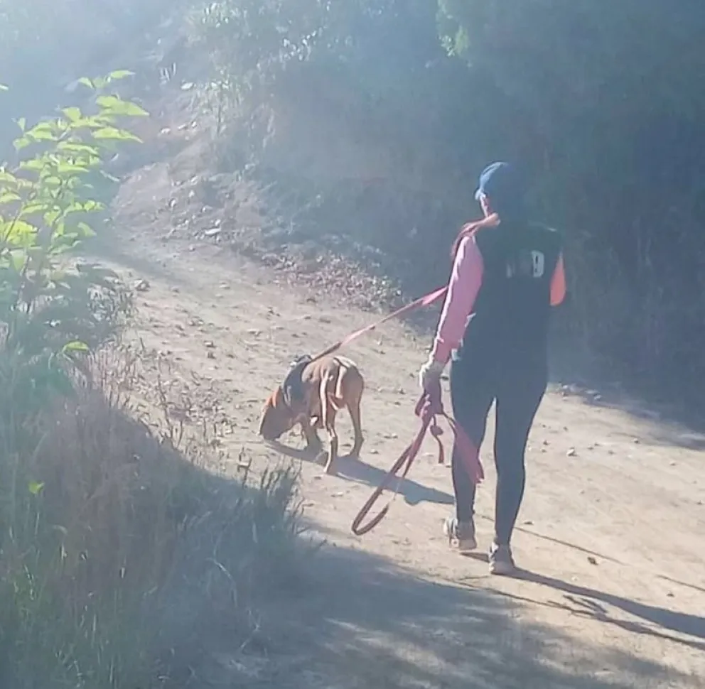 Siguen las tareas de búsqueda de Enzo Bonabello