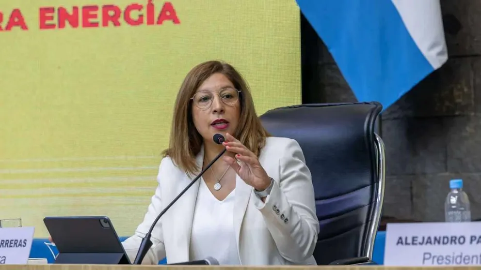 Carreras: "La Secretaría de Juventudes tendrá perfil técnico y transversal"