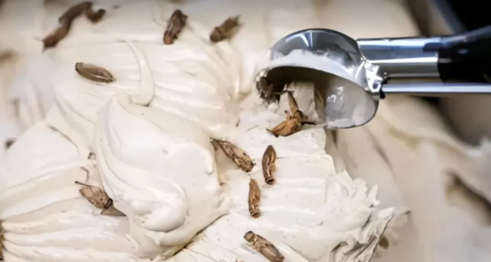 Una heladería de Alemania incorporó un sabor elaborado con harina de grillo