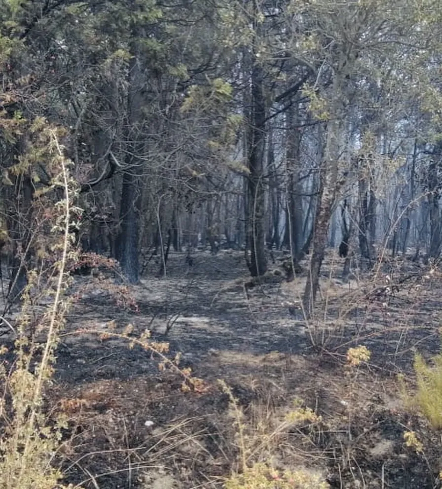 El Bolsón: Sigue el combate del incendio en Cascada Escondida