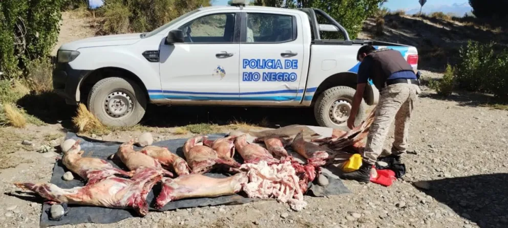 La Policía secuestró una docena de caprinos faenados irregularmente