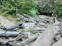 Denunciaron actos vandálicos en la Cascada Ñivinco
