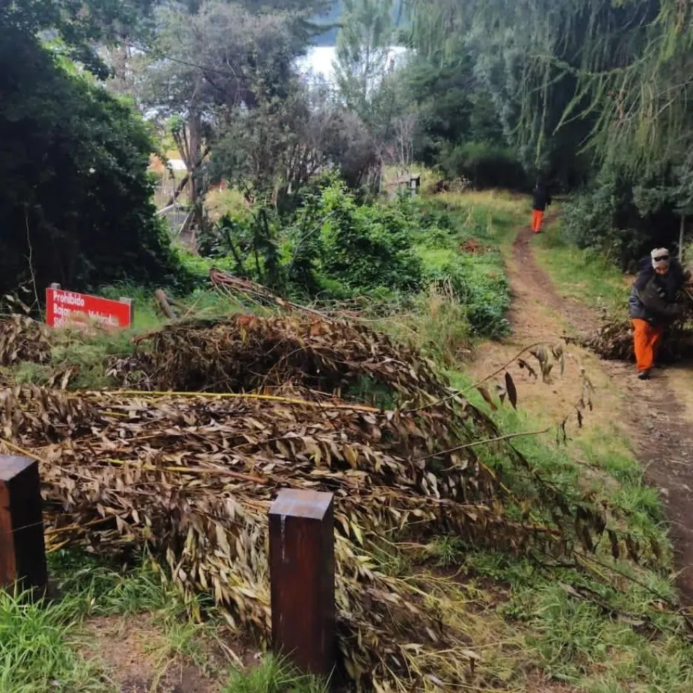 Realizarán jornadas de limpieza comunitaria en barrios Tres Lagos y Villa Llanquihue