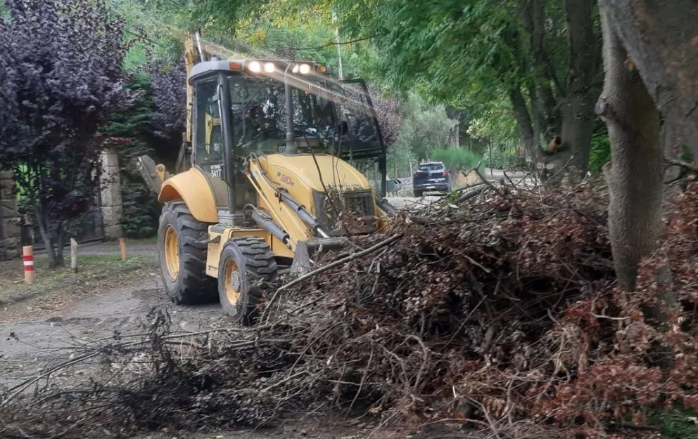 Se realizaron jornadas de limpieza comunitaria en los barrios Tres Lagos y Villa Llanquihue