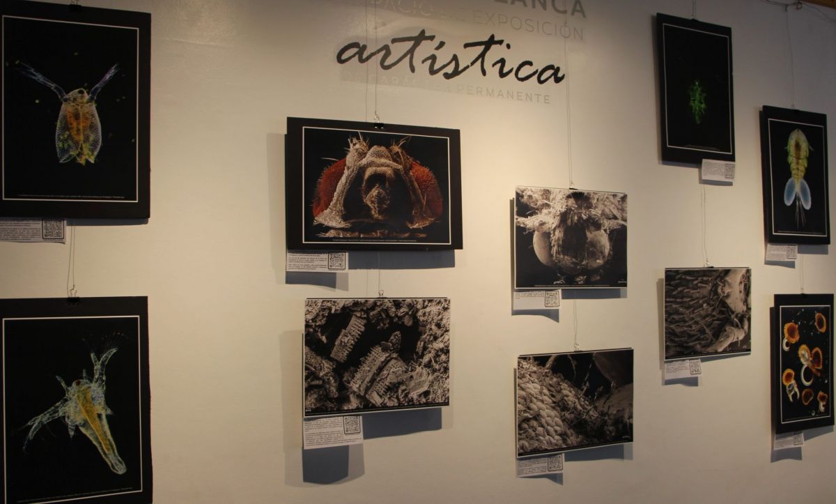 Se inauguró la muestra fotográfica "Mundos Ocultos" en el CRUB