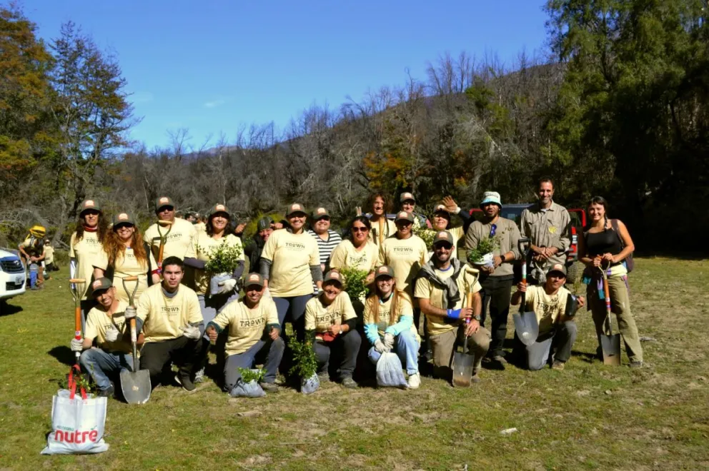 Plantaron 5.600 árboles autóctonos en el Camping Viejo Manzano del Lago Steffen 