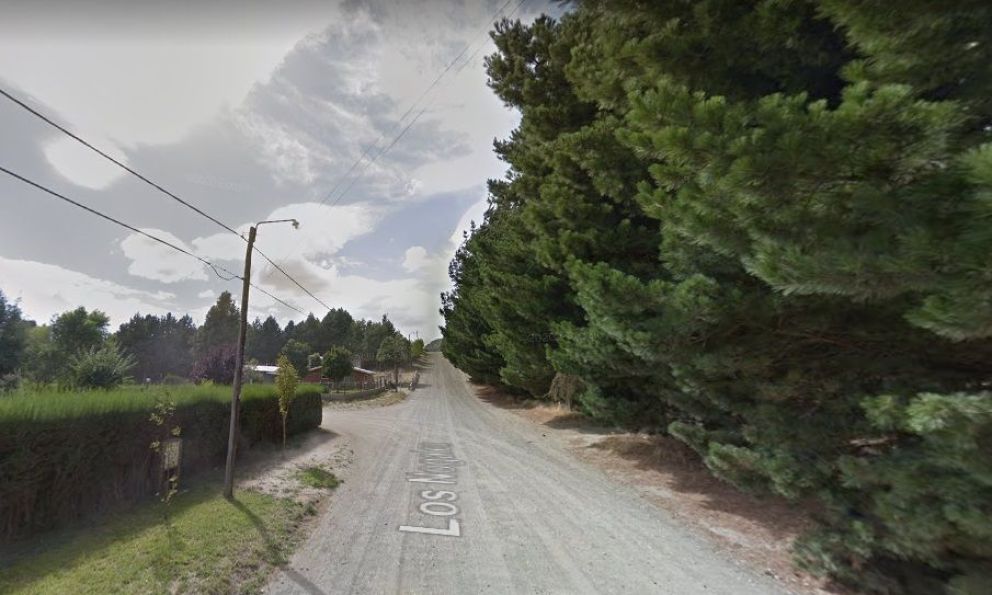 Dina Huapi: este martes cortarán el tránsito en calle Los Nogales por volteo de árboles