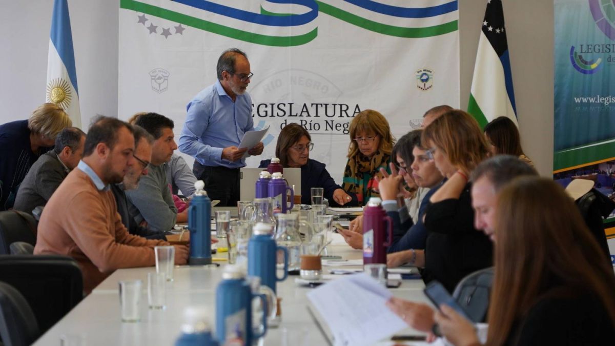 Avalan la incorporación de los derechos de los animales en el plan de estudios provincial