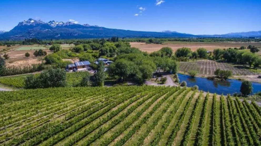 La Ruta del Vino en Trevelin, entre identidad geográfica y dragones