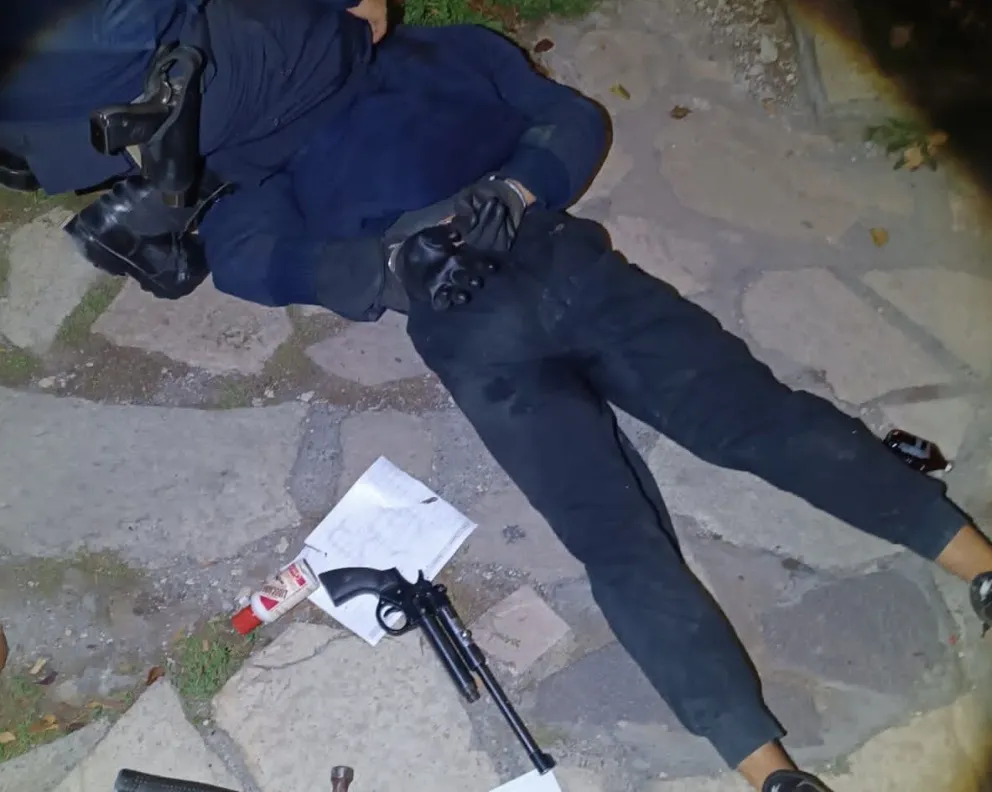 Detuvieron a un hombre que entró a robar en una veterinaria céntrica