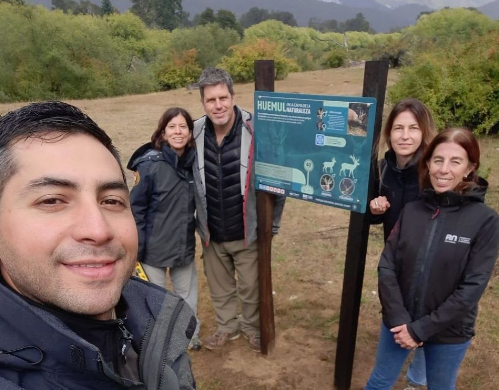  Avances para proteger al huemul en la zona de El Manso
